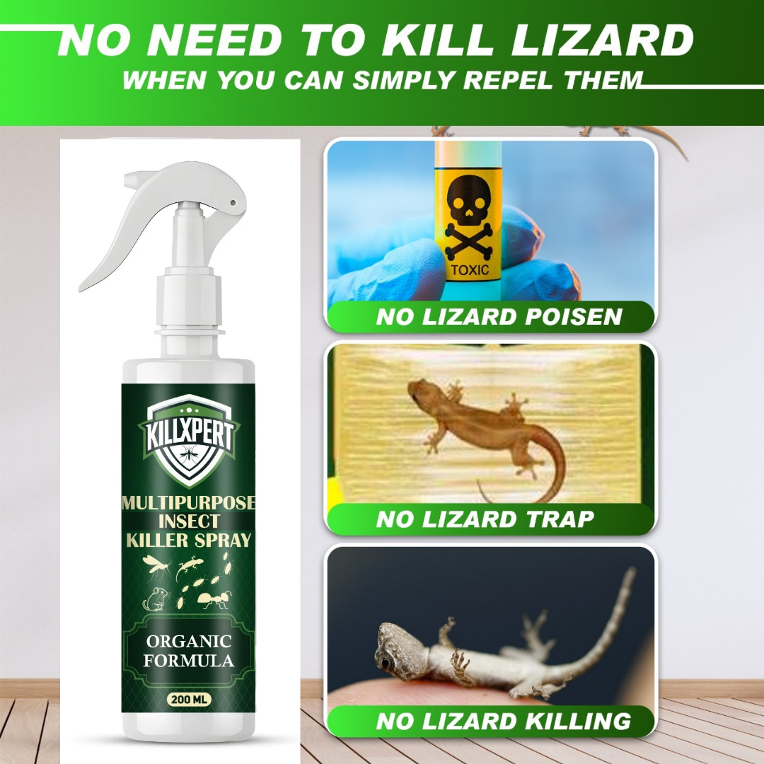 Killxpert Multipurpose Insect Killer Spray 200ml | Herbal & Organic Pest Control for Cockroaches, Ants, Mosquitoes, Termites & Flies | Safe, Odour-Free & Long-Lasting Protection