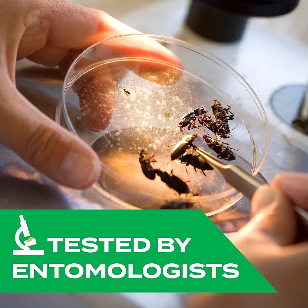 Killxpert Multipurpose Insect Killer Spray 200ml | Herbal & Organic Pest Control for Cockroaches, Ants, Mosquitoes, Termites & Flies | Safe, Odour-Free & Long-Lasting Protection