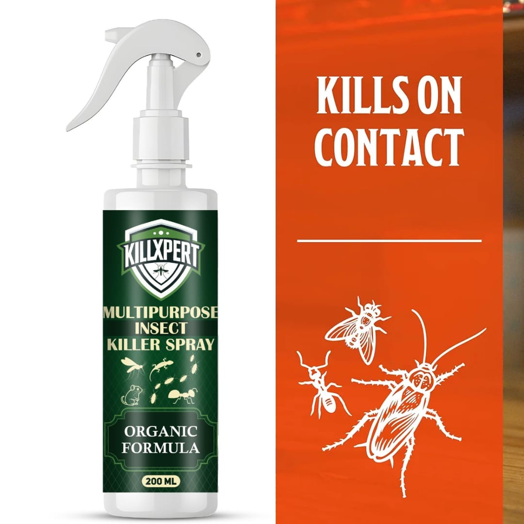 Mosquito Killer